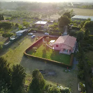 Il Melograno Di Nora Bed & Breakfast Pula